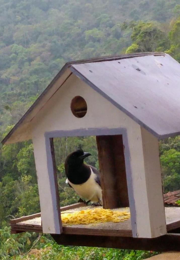 Casa Sossego da Montanha Visconde de Mauá Exterior foto